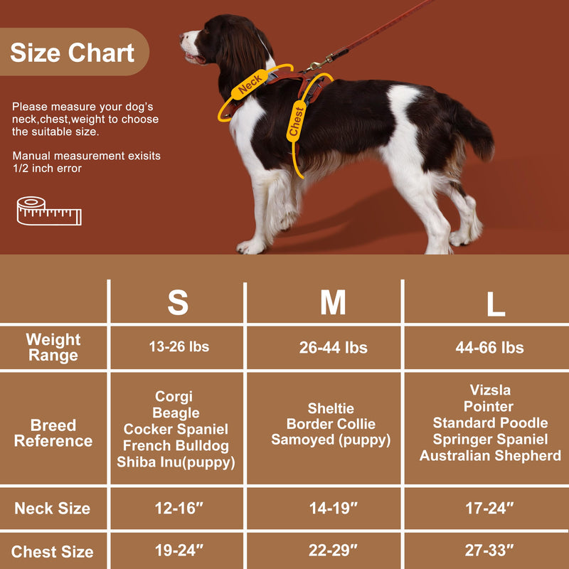 Didog No Pull Dog Harness Small Sized Dog,Classic PU Leather Vest for Small Dogs with Easy Control Handle,No Choke Front Clip,Reflective & Adjustable for Walking,Green,Chest 19-24" Green S: Chest 19-24", Fit 13-26 lbs - PawsPlanet Australia