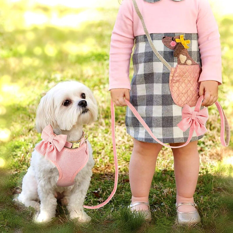 Didog Cute Small Dog Collar Harness & Leash Set, Adjustable Dog Collars and Leashes with Bowtie, Breathable Soft Mesh Padded Dog Vest for Puppies Small Dogs Walking,Pink, M M: Neck 13-22", Chest 16-21" Pink - PawsPlanet Australia