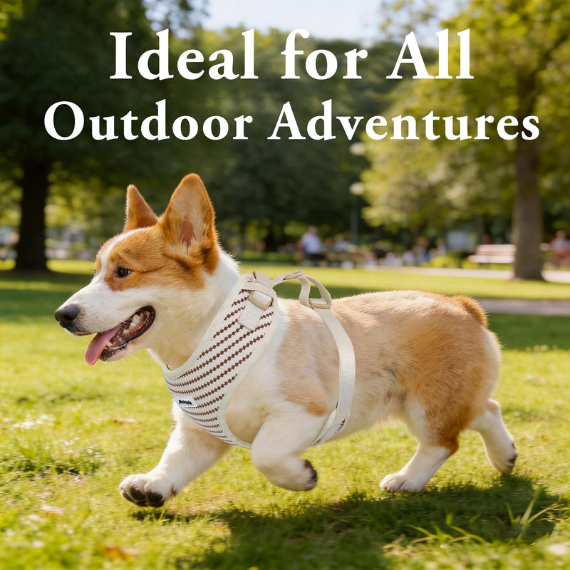 No Pull Dog Vest Harness for Small&Medium Dogs, Side Clip Adjustable Pet Vest, Soft Breathable, Fashion Dog Harnesses for Walking, Running, Shopping (Beige, S) Small Grain S (Chest 16.1"-21.2") - PawsPlanet Australia