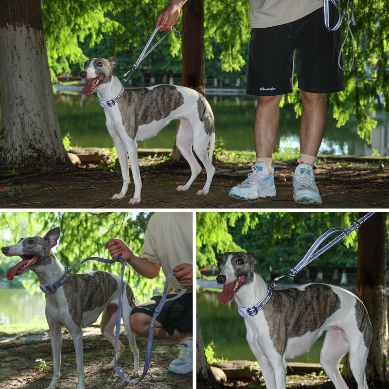 Aluminum Dog Leash 3-in-1 with Car Seatbelt Clip, Ultra-Lightweight 5ft Lead with Padded Traffic Handle – Durable for Small, Medium & Large Dogs(Lavender Purple, M：Width 3/4" Length 5') Lavender Purple M：Width 3/4" Length 5' - PawsPlanet Australia