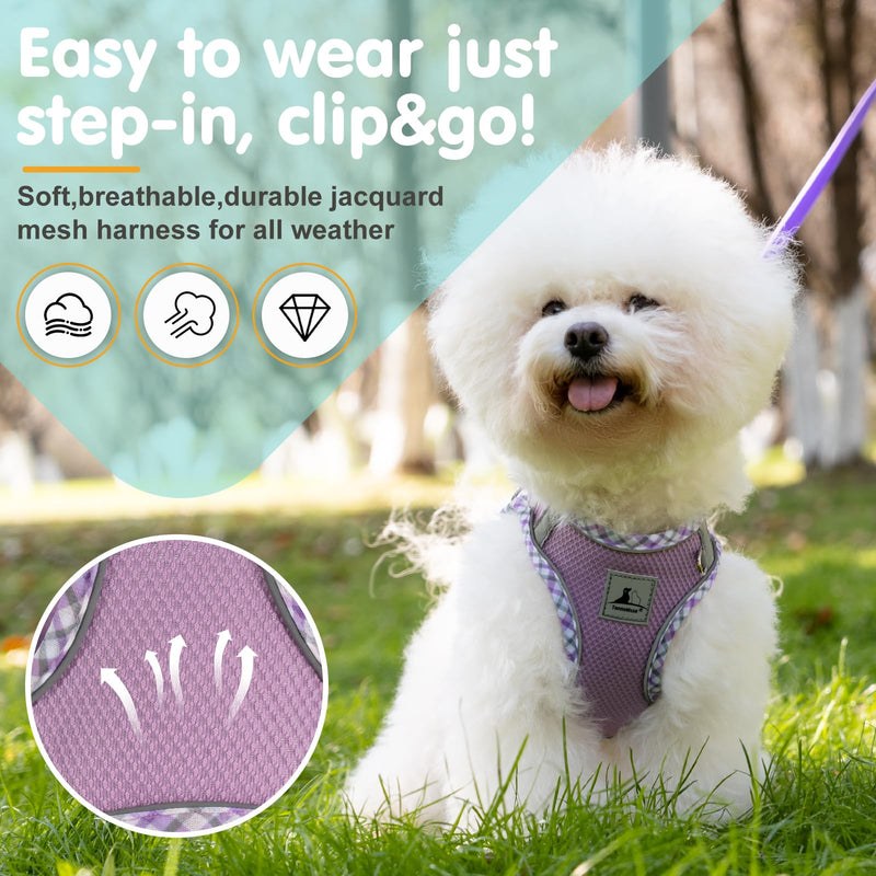 Dog Harness and Leash Set, No Pull Pet Harness for Small Dogs Easy Walking,Soft Breathable Small Dog Harness,Adjustable Reflective Step in Vest Harness for Puppy,Kitten, Cats Medium purple - PawsPlanet Australia