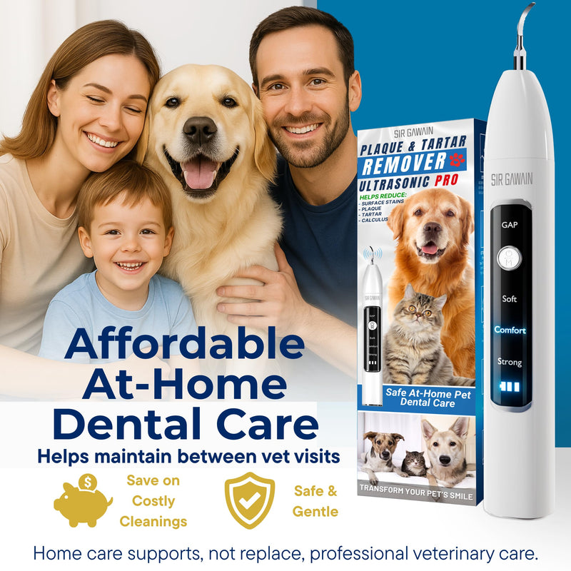 SIRGAWAIN Pet Ultrasonic Dental Cleaner — Plaque, Tartar & Stains Remover, 4 Tips, 3 Modes, LED, Contact-Activated & Smart Touch Protection, Complete Cleaning Kit for Dogs & Cats (White) White - PawsPlanet Australia