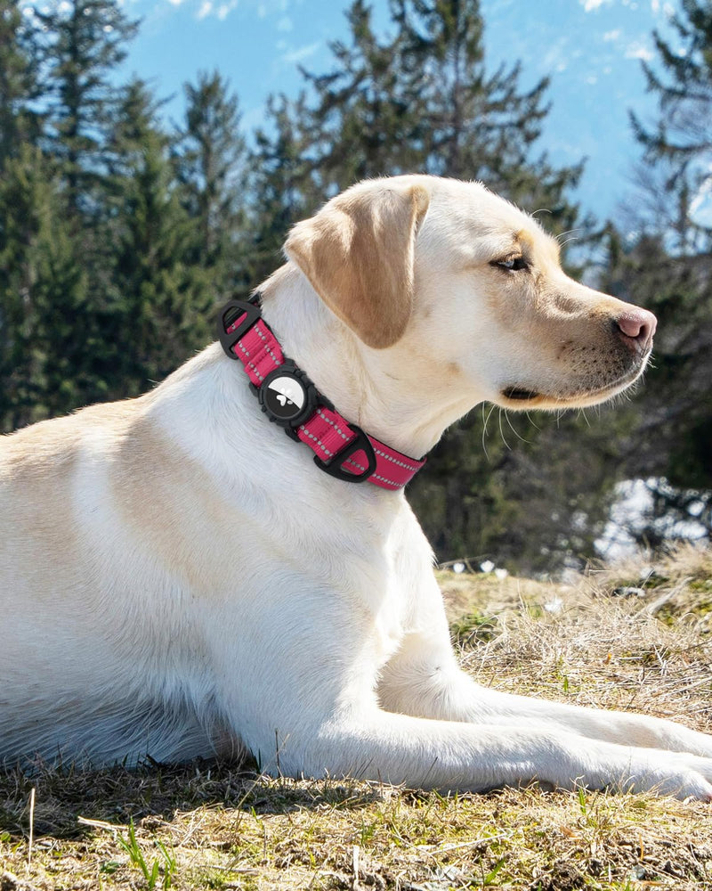 Joytale Airtag Dog Collar, Reflective Pet Collar with Waterproof AirTag Holder, Dual D-Rings, Soft Padded Adjustable for Extra Small and Puppy Dogs, Hotpink, XS X-Small(9"-12") - PawsPlanet Australia