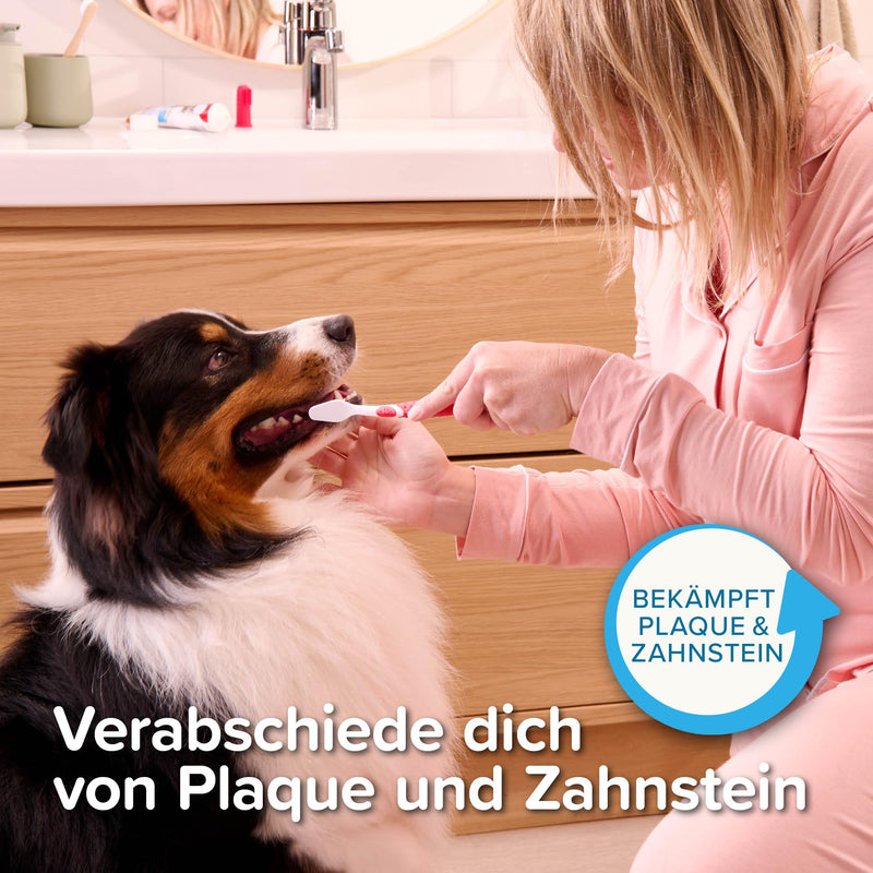 Beaphar Toothbrush, 1 piece. 1pc (pack of 1)