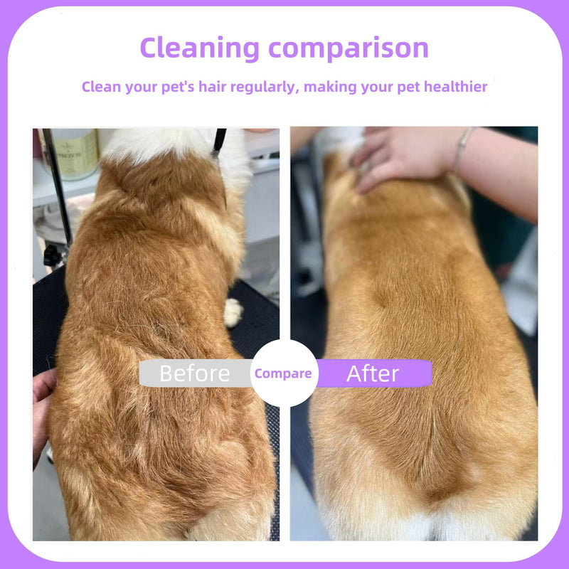 Pet Comb for Dogs & Cats with Long & Short Stainless Steel Metal Teeth For Shedding and Tangles, Non-Slip & Anti-Static Rubber Handle, Safe & Gentle Pet Grooming Comb - PawsPlanet Australia
