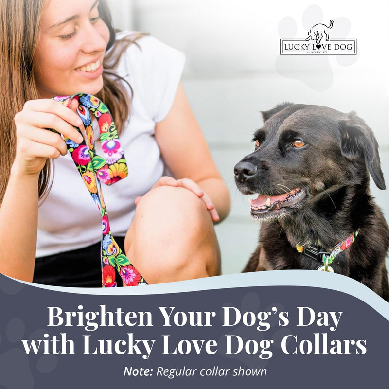 Lucky Love Dog Martingale Dog Collar - Adjustable, No-Slip, Durable, & Soft Webbing Collar for Male and Female Dogs Ideal for Training & Walking - Blackbird, Medium Medium Collars (13-21") - PawsPlanet Australia