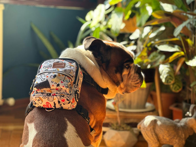 PawLook Dog Backpack to Wear with Chest Harness Self Carrier dogbag with Additional Pocket for Poop Bag Anti Slip Stylish Dog Bag for Your pet Street Smart Serie White Bone Medium WHITEBONE M - PawsPlanet Australia