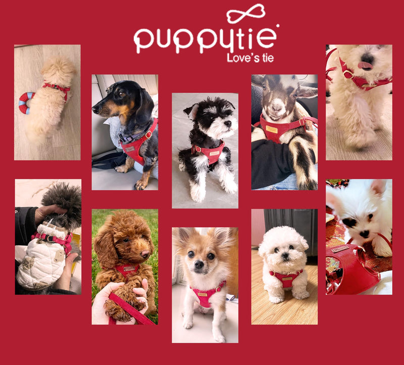 Puppytie No Pull xs Dog Harness with Multifunction Dog Leash,Soft Adjustable No Choke Escape Proof Pet Harness Vest,red-Camellia,XS red-camellia XS(4.5-11lb? - PawsPlanet Australia
