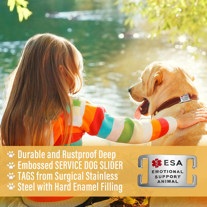 ESA Dog Tag – Surgical Steel, Non-Slip Grip, Deep Engraved & Hand Enamel ESA ID – Fits 1” Collar, Silent - Extra Large Slide-On ID Badge for Collar or Harness Slider: Large 1 inch collars Stainless Steel - PawsPlanet Australia