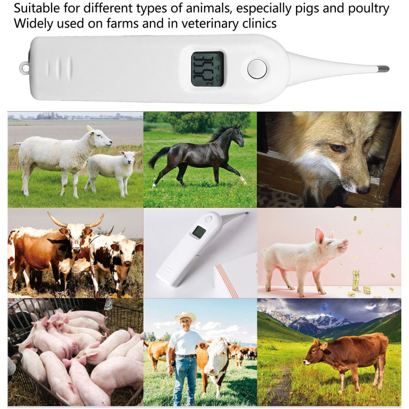 Zerodis Pet Thermometer Dog Thermometer, Non Digital Pet Thermometer for Dogs Fast Digital Veterinary Thermometer Cat and Dog Ear Temperature Monitor - PawsPlanet Australia