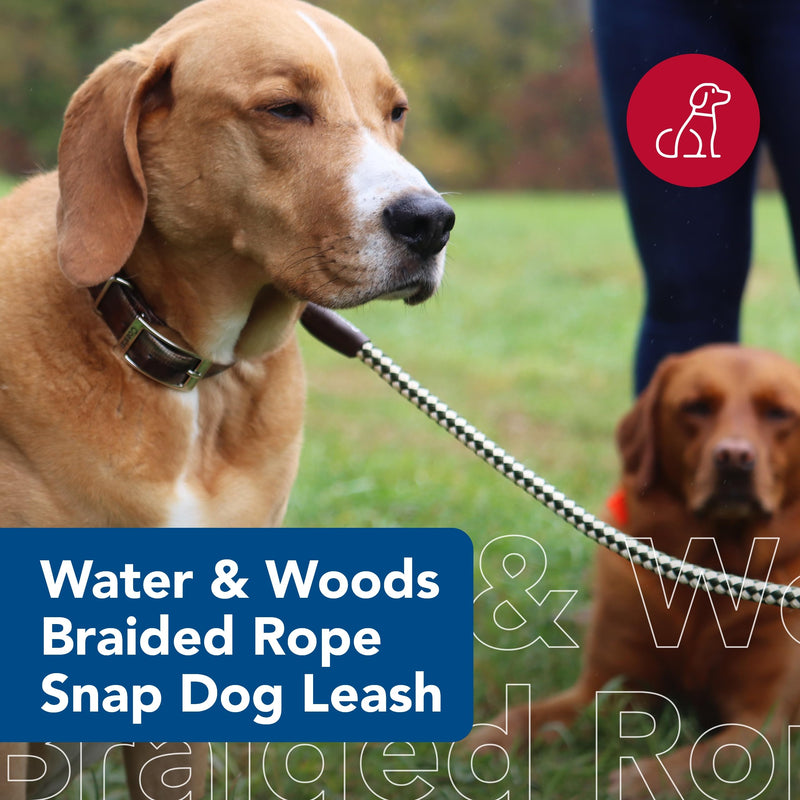 Water & Woods Braided Rope Snap Dog Leash by Coastal Pet - Durable Leash for Dog - Comfortable Pet Leash - Classic Swivel Snap for Tangle-Free Walks - Green, 1/2" x 6' - PawsPlanet Australia