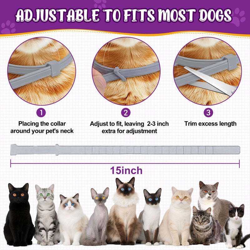 Flea & Tick Collar for Cats 4 Pack - 8 Months Long-Lasting Protection and Prevention, Cat Flea and Tick Collar, Adjustable - PawsPlanet Australia