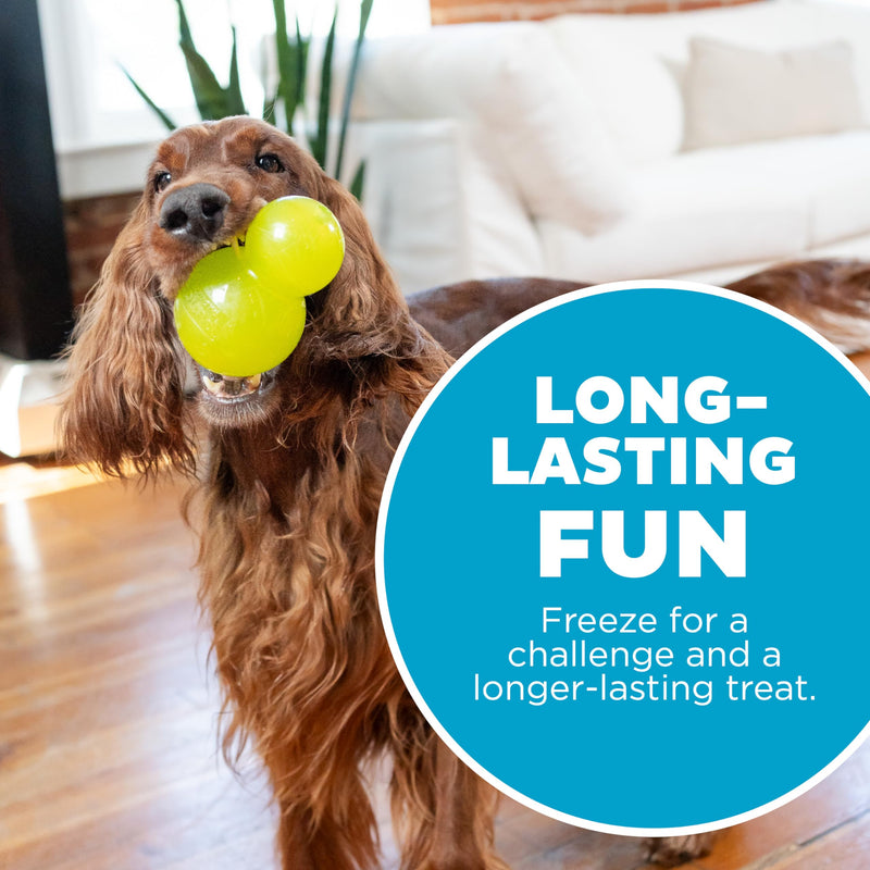 Outward Hound Double-Tuff Durable Interactive Treat Stuffer Dog Chew Toy, Durable Dog Toy, Large, Green - PawsPlanet Australia