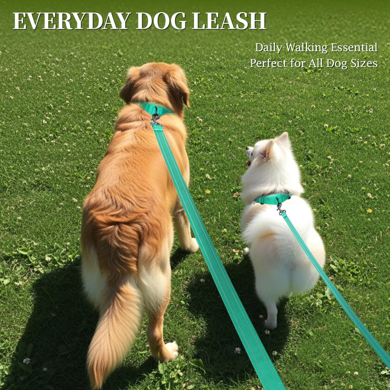 VIVAGLORY Dog Leash Dailyx Pet Leash with Soft Padded Handle for Training & Walking, Heavy Duty & Double Layer Nylon for Pet Puppy, 5ft x 1in, Green Leash (5 ft. x 1 in.)