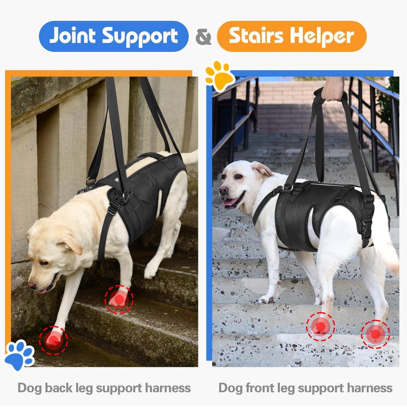Dog Lift Harness for Large Dogs, Dog Sling for Large Dogs Hind Legs, Dog Back Legs Support Harness Lifting with Handles Dog Hip Support Brace Help for Arthritis Weak Legs Injuries Mobility - PawsPlanet Australia