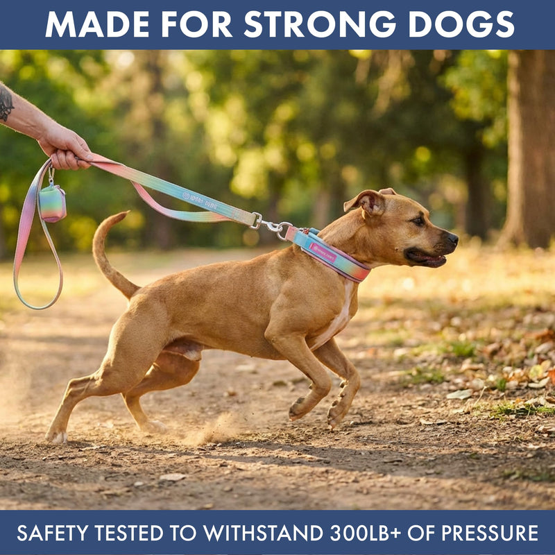 Spark Paws Martingale Dog Collar – Cushioned Slip-On Training Collar, Heavy Duty, Safety-Tested No-Buckle Collar for Medium & Large Dogs - Pastel Icing - C 01 Pastel Icing C: 17" - 18.5" [1.8" wide] - PawsPlanet Australia