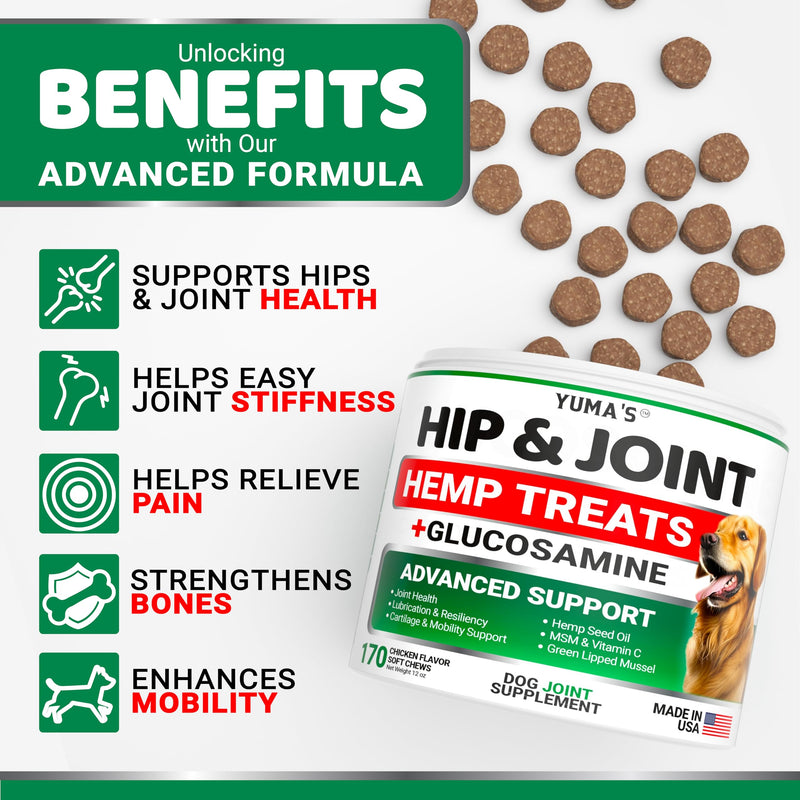 YUMA'S Hemp Hip and Joint Supplement for Dogs - Glucosamine for Dogs - 170 Dog Joint Pain Relief Chews - Chondroitin, MSM - Hemp Oil - Advanced Dog Joint Supplement Health - Mobility Support Treats 170 Treats Hemp Hip & Joint Chews