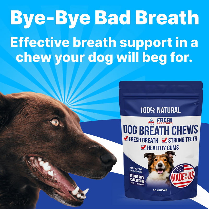 Fresh Breathies, All-Natural Dental Chews for Dogs, Dog Breath Treatment That Supports Gut Health and Immune System, Dog Teeth Cleaning Chews, Dental Treats for Dogs Made in The USA, 30 Count Bag