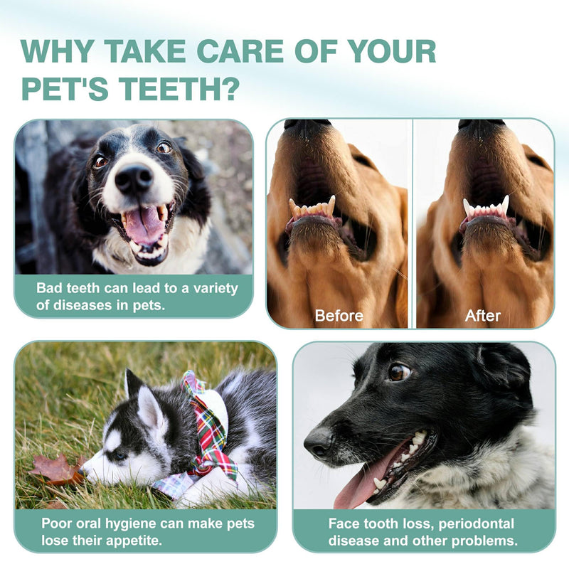 Leoezx™ Professional Pet Toothbrush(4Pcs), Dog & Cat Soft Bristle Double-Sided Brush Head Set, Pet Brushing Teeth to Clean Teeth to Reduce Tartar Buildup, Pet Dental Care Essentials - PawsPlanet Australia