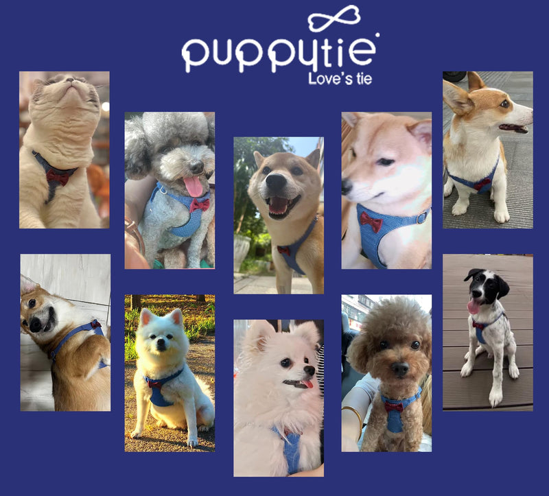Puppytie No Pull Small Dog Harness with Multifunction Dog Leash,Lightweight Soft Adjustable No Choke Escape Proof Pet Harness Vest Pet Harness Vest,Plaid Blue,S Plaid Blue S(9-17.5lb） - PawsPlanet Australia