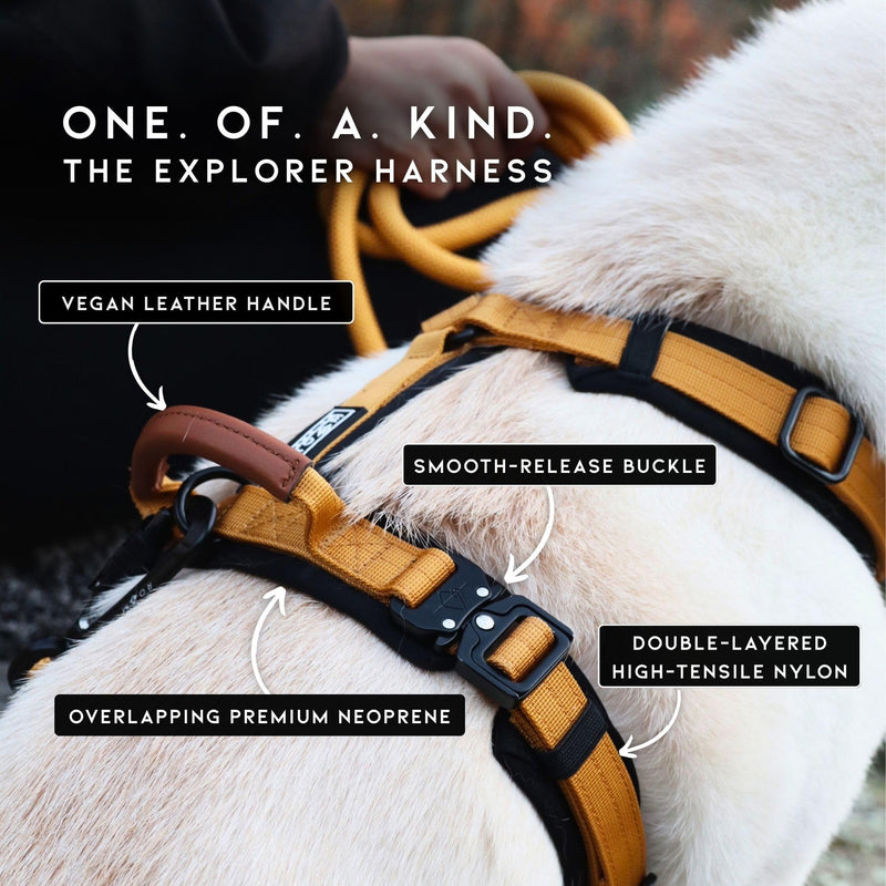 MADE TO ROAM Premium Explorer Harness - Y-Shaped Dog Harness with Adjustable Durable Nylon, Soft Padding, Metal Buckles and Leather Handle for Small, Medium, Large Dogs (Maine Marina, Size 5) Maine Marina - PawsPlanet Australia