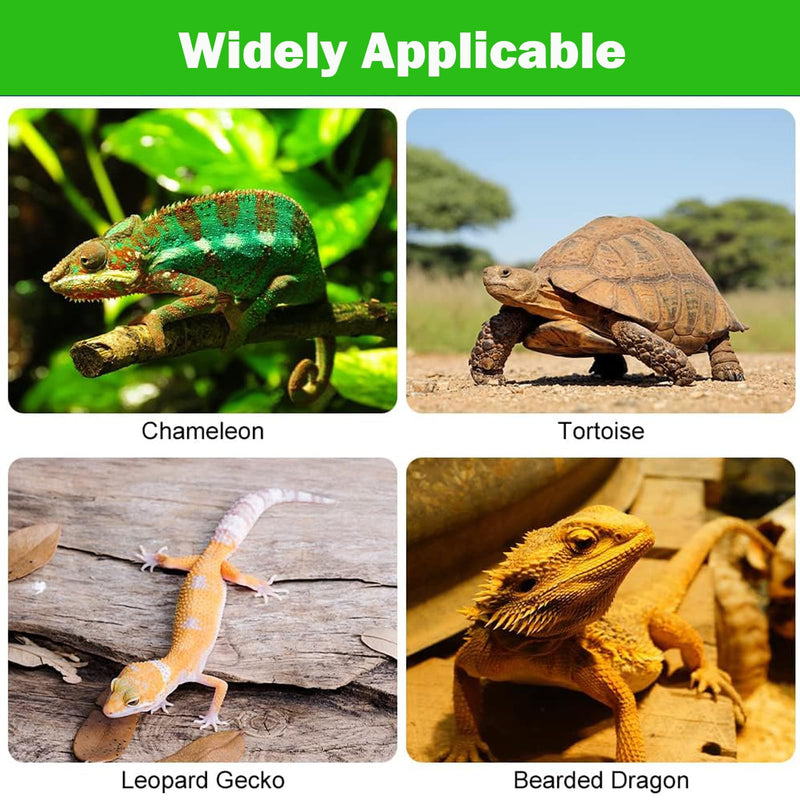 Bearded Dragon Tank Accessories, Non-Adhesive Reptile Carpet Bedding Substrate for Terrarium, Reptile Mat Terrarium Liner Tank Flooring for Leopard Gecko, Snake, Lizard and Tortoise, 18x40 in 18x40 inch - PawsPlanet Australia