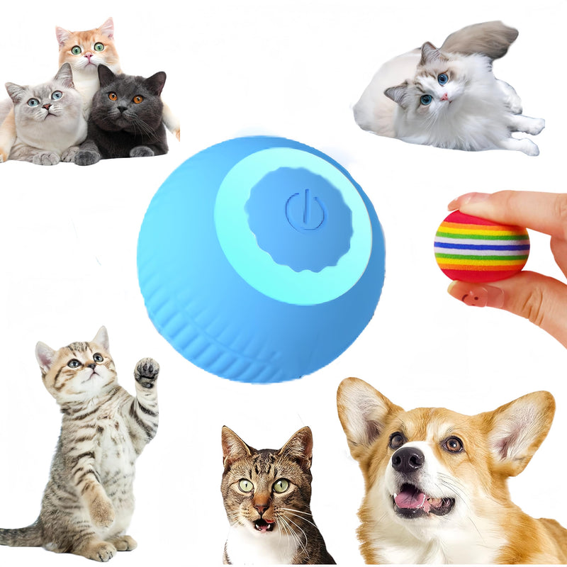 cat Toy Two-Piece Set-Wloom Power Ball 2.0 -Red Rainbow Cat Toy Balls Soft Interactive Indoor Kittens Favorite Toys .Small Dogs Toy Balls Activity Chase Quiet Play Sponge Ball（Blue） - PawsPlanet Australia