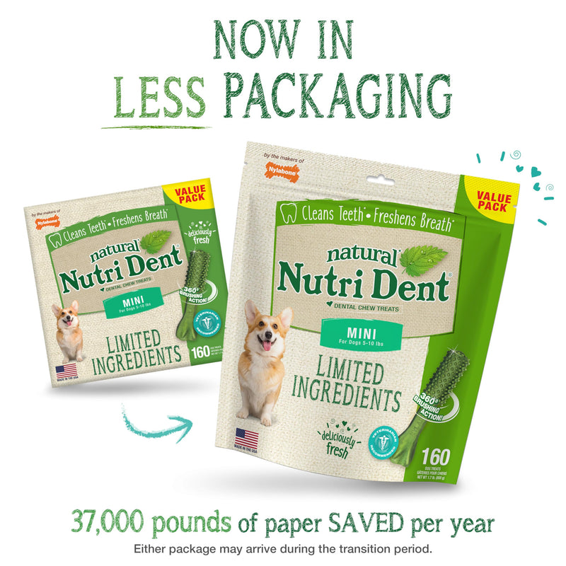 Nylabone Nutri Dent Natural Dental Chews for Dogs, Limited Ingredient Dog Treats Made in the USA, Clean Teeth & Fresh Breath, Healthy Dog Chews, Fresh Breath Flavor, For X-Small Dogs, (160 Count) Fresh Mint 27.2 Ounce (160 Count) - PawsPlanet Australia