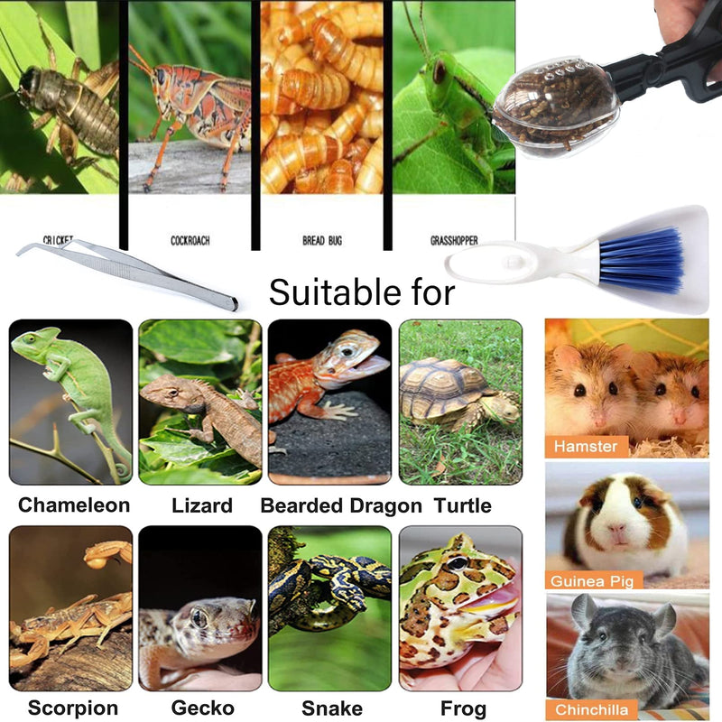 Tfwadmx Tiny Cleanning Broom, Scooper Feeding Tool,Mini Dustpan and Brush, Stainless Steel Tweezer for Reptile and Other Small Animals Supplies House Bedding 3Pcs - PawsPlanet Australia