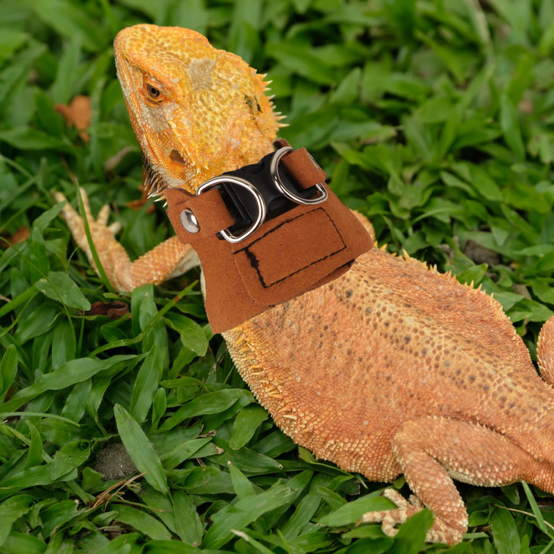 ADOGGYGO Bearded Dragon Harness Leash Set- 3 Size Pack Lizard Harness, Lizard Reptile Walking Leash for Bearded Dragon Reptiles (Brown) Brown - PawsPlanet Australia