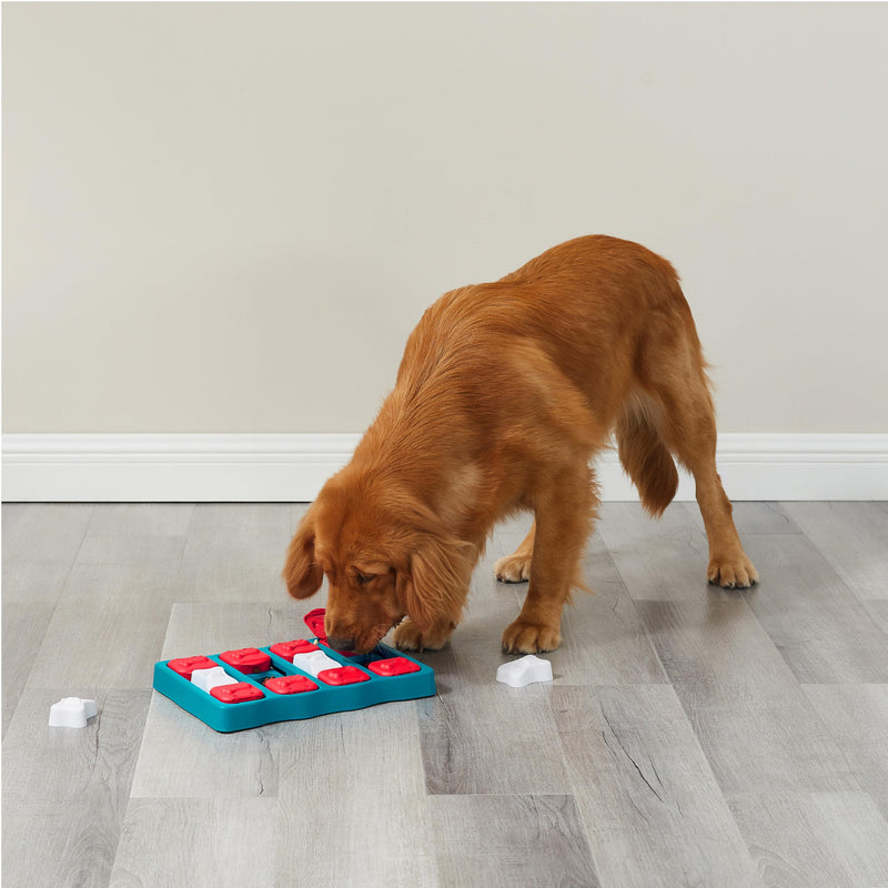 Outward Hound Nina Ottosson Dog Brick Dog Puzzle Interactive Treat Puzzle Dog Enrichment Dog Toy, Level 2 Intermediate, Blue Dog Brick (Red, White, Blue) - PawsPlanet Australia