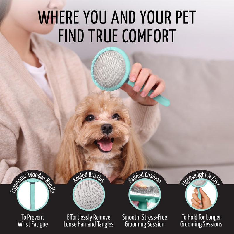 Tauro Pro Line Slicker Brush for Dogs & Cats, Deshedding, Dematting & Detangling Grooming Tool for Medium to Long Coats, Ideal for Cocker Spaniels, Round Flexible Cushion, Mint, Medium Size (M) Round - M