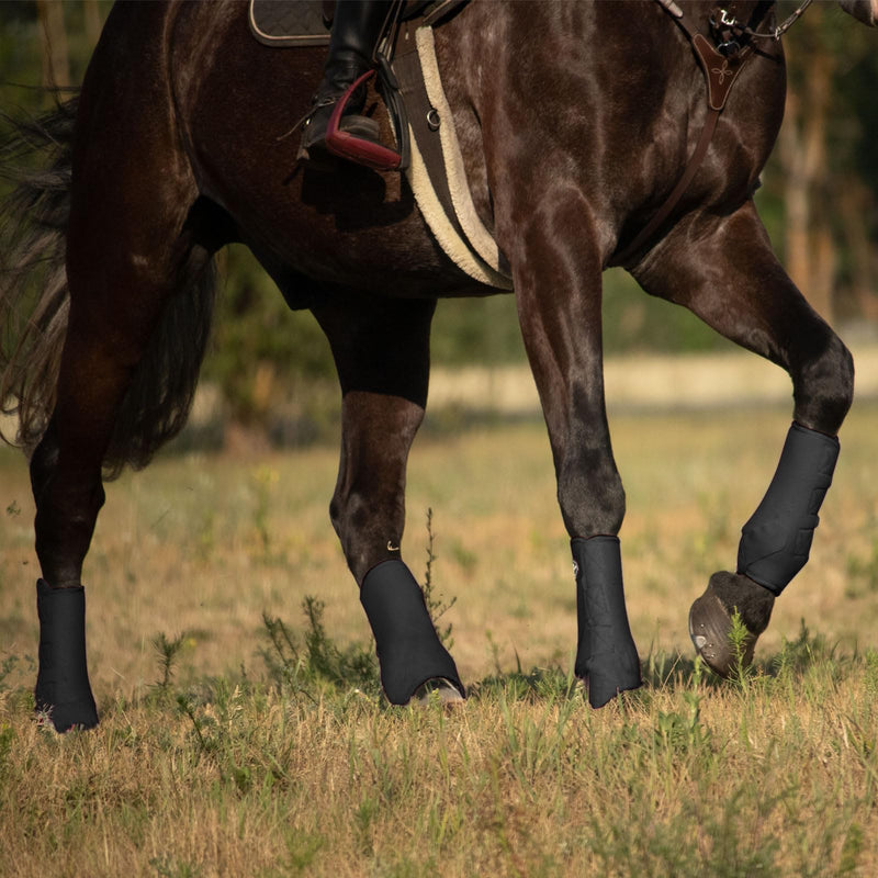 Harrison Howard Splint Boots for Horses 4 Pack, Front & Hind Horse Sport Boots with Neoprene Leg Protection Piano Black Large