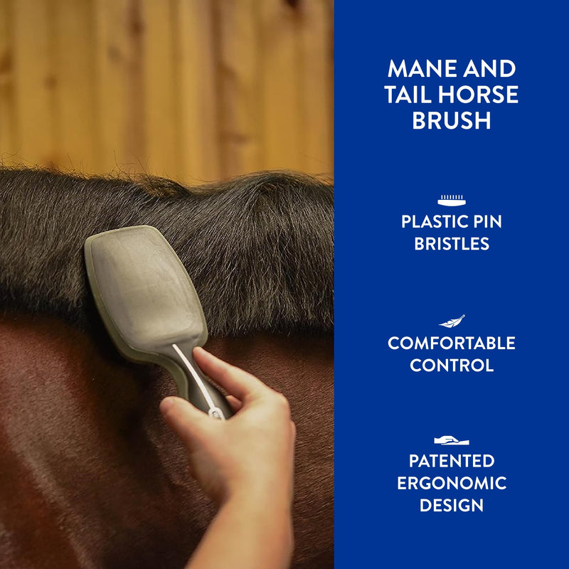 WAHL Professional Animal Equine Grooming Tool - Mane & Tail Brush (#858709-100) for Horses - Black - PawsPlanet Australia