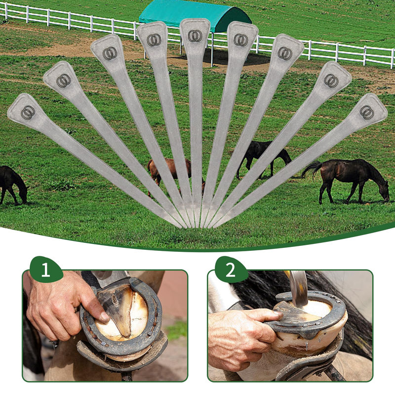 250pcs Horseshoe Nails E6 Stainless Steel,2.1 Inches Easy Carry Hoof Horseshoe Tools,Securing Firmly Tool Accessory for Horse Training Equestrian Sports (E6) - PawsPlanet Australia