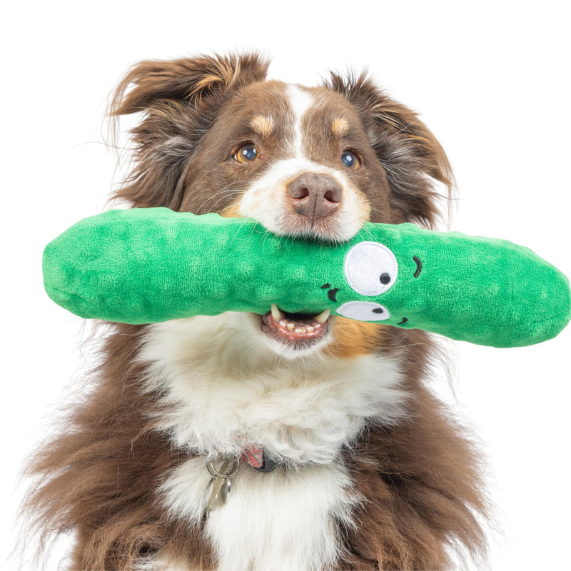 Huxley & Kent for Dogs | Dell Pickle (Small) | Funny Dog Toy | Power Plush Dog Toy with Squeaker | Dog Gift | Fun, Durable | H&K Squeaky Dog Toy Small - PawsPlanet Australia
