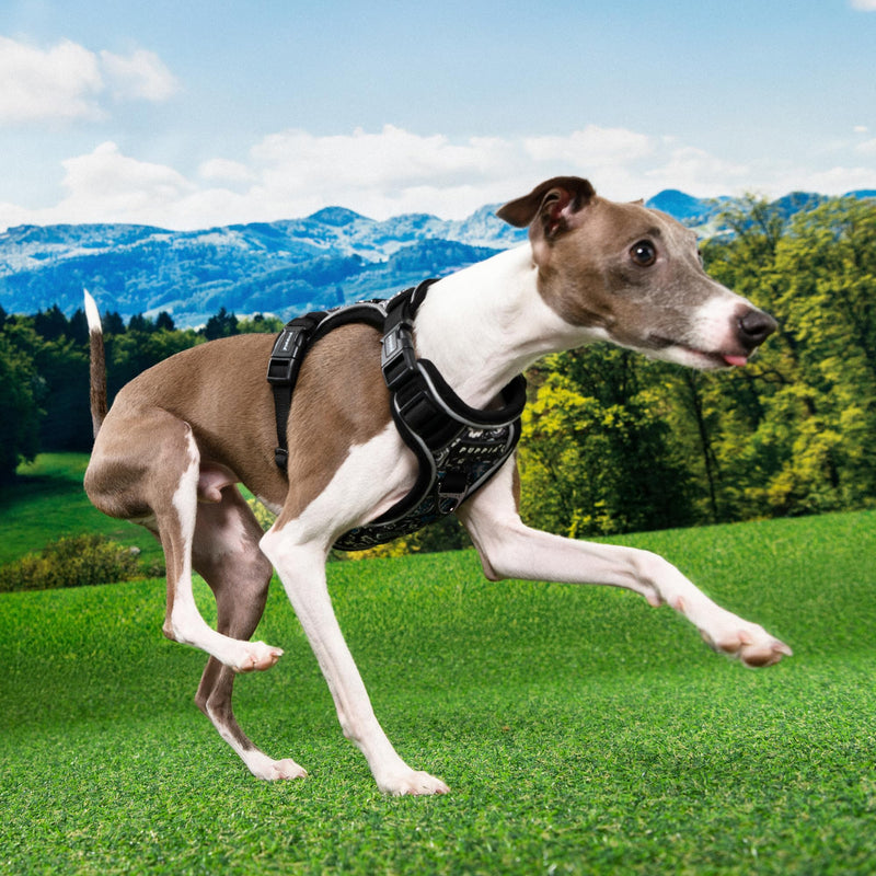 Puppia Cynthia Dog Harness H Sturdy Adjustable Neck and Chest Reflective Flower Pattern Front and Back D-Ring for Small and Medium Dogs, Black, Medium - PawsPlanet Australia