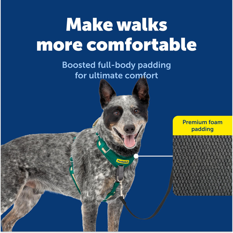 PetSafe Easy Walk Comfort No-Pull Dog Harness - Better Walk Training Harness - Full Body Padded Design - Durable Fabric - 5 Point Adjustable Fit - Everyday Leash Training - Green - Medium/Large
