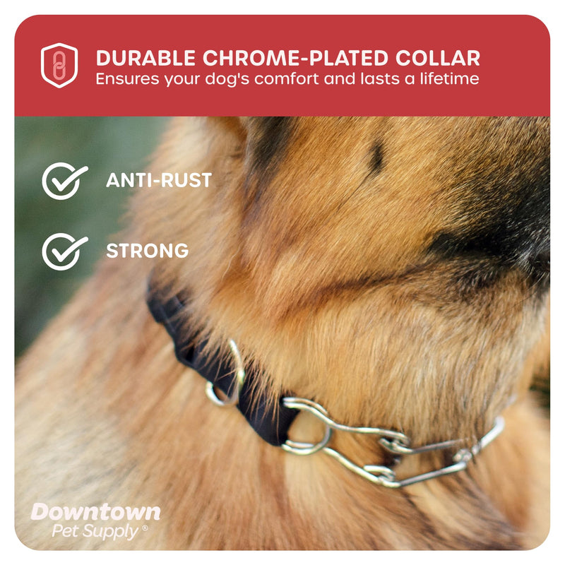 Downtown Pet Supply Chrome Plated/Nylon Prong Collar for Dogs, Small - Adjustable, No-Choke and No Pull Dog Collar with Removable Links - Pinch Collar for Dogs Under 20 lbs and 14" Neck Width Small (Pack of 1) Nylon - PawsPlanet Australia