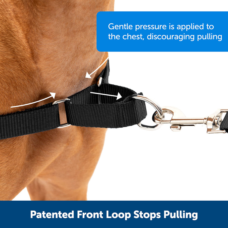 PetSafe Easy Walk Harness, No-Pull Walking Harness for Dogs, Adjustable Fit, Includes 1.8m Lead, Medium-Raspberry, Medium Raspberry - PawsPlanet Australia