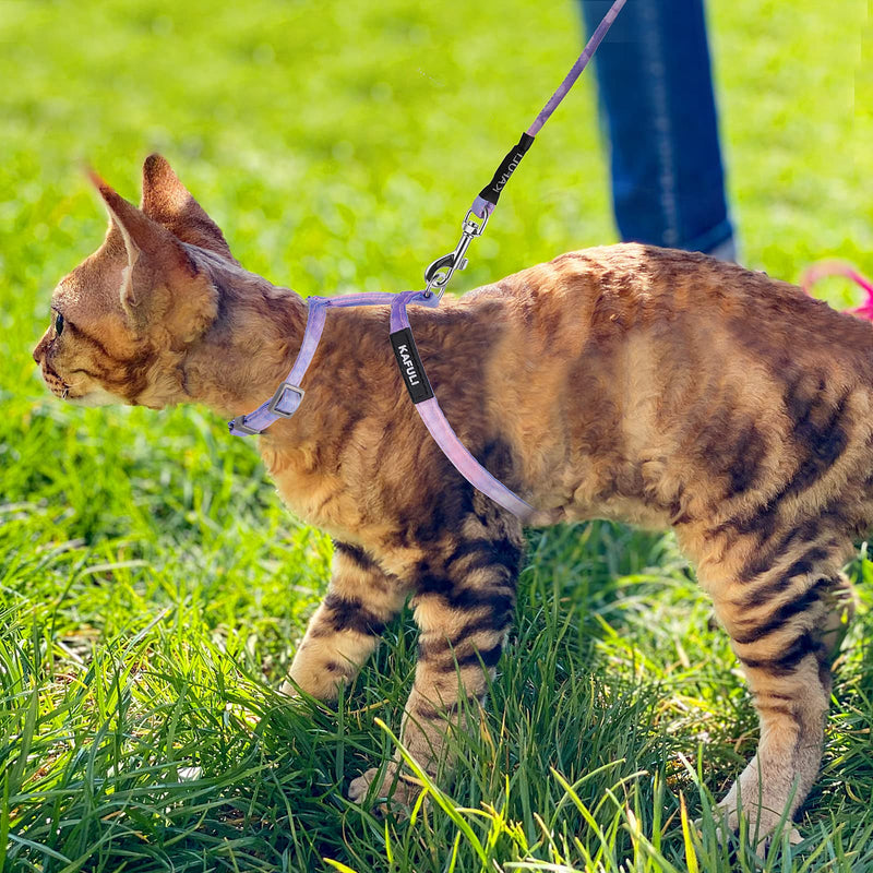 Cat Harness and Leash Set, Adjustable Gradient Kitten Harness Escape Proof Harness with Leash for Kitty Outdoor Walking (Gradient Purple) Gradient Purple - PawsPlanet Australia