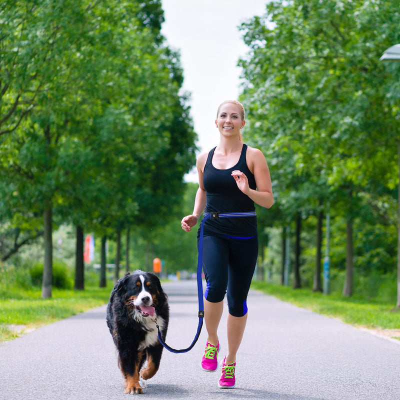 KRUZ PET KZV2072 6 FT Bungee Leash – Wearable Jogging Leash – Over the Shoulder and Waist Hands-Free Leash – Strong Reflective Heavy Duty Safety Leash with Locking Carabiner Clip – Easy Snap Function Gray Large: 1” X 6FT - PawsPlanet Australia