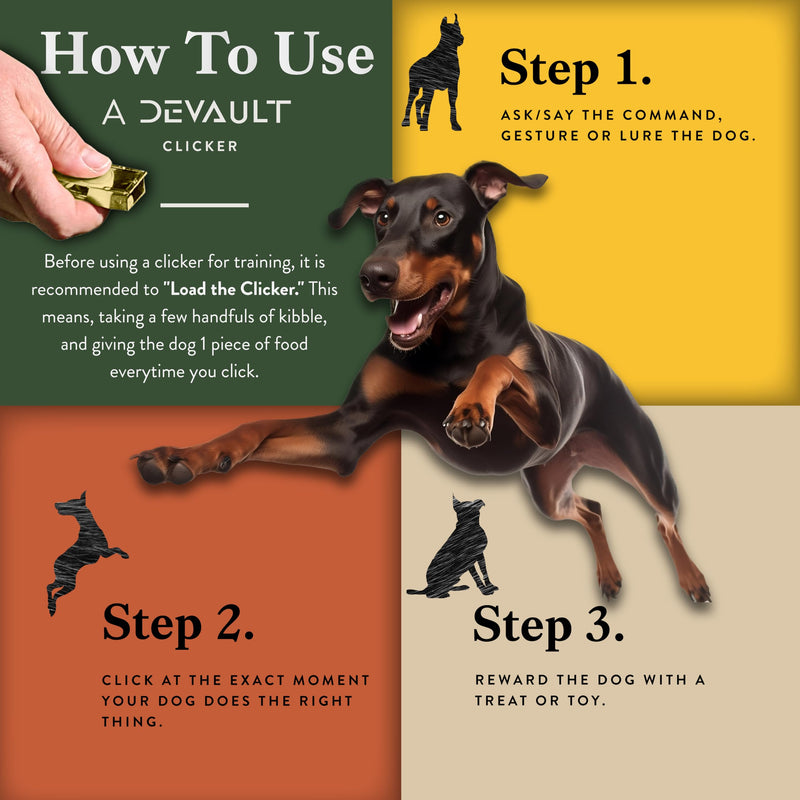 3-Pack Dog Clicker (Silver, Gold, Black) - Clickers for Pet Training – Easy-to-Carry Dog Training & Behavior Aids - Teach Your Dog Tricks or Reward His Behavior 3 Pack Silver, Gold, Black - PawsPlanet Australia