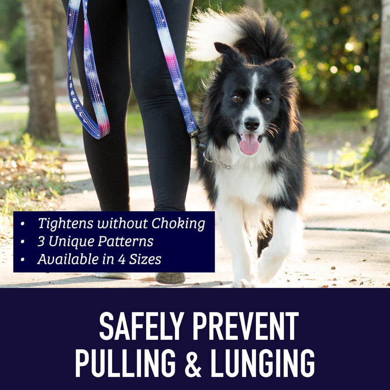 Leash Boss Martingale Collar for Dogs - Steel Chain | Reflective Nylon Dog Collar for Large Dogs, Medium and Small Dogs | No Pull Pet Training Collar Small Large (19-24.5" Neck x 1" Wide) Orange - Blanket - PawsPlanet Australia