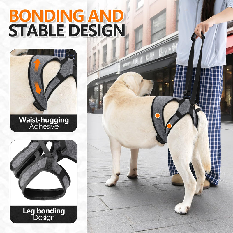 Dog Lifting Harness, Dog Support Harness Slings for Back Legs，Adjustable Dogs Support Strap for Injured Disabled Elderly Dogs (XL) XL
