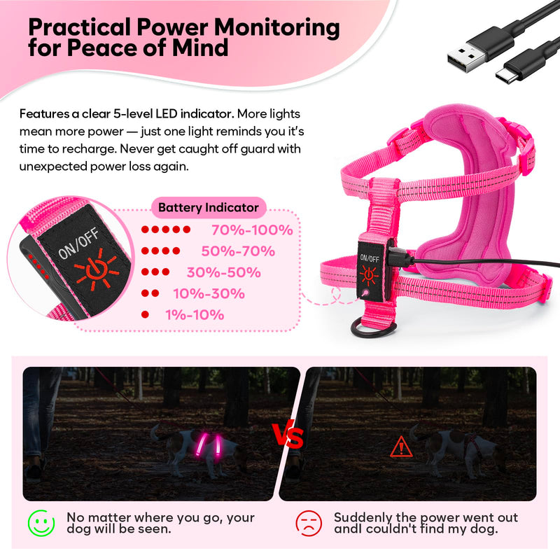Light Up Small Dog Harness, LED Rechargeable Harness for Small Sized Dog, No Pull Reflective Adjustable Dog Vest Harness with Soft Light, Glow-in-The-Dark for Night Safety Walking (Pink) Pink - PawsPlanet Australia