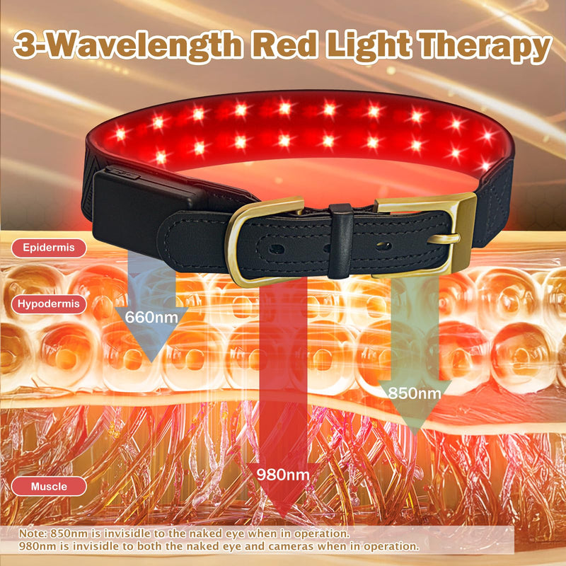 Red Light Therapy for Dogs Collar – Infrared & Red Light Therapy Device with 660nm&810nm & 980nm Wavelengths, Wearable Support for Muscle Comfort, Pain Relief, Skin & Tissue Support and Daily Wellness