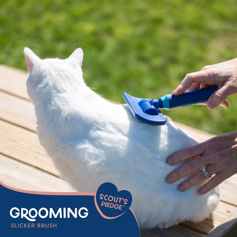 Good Scout Slicker Brush, Best Deshedding Tool for Dogs & Cats, Gentle, Safe & Effective Pet Grooming Tool for Long & Short Haired Animals