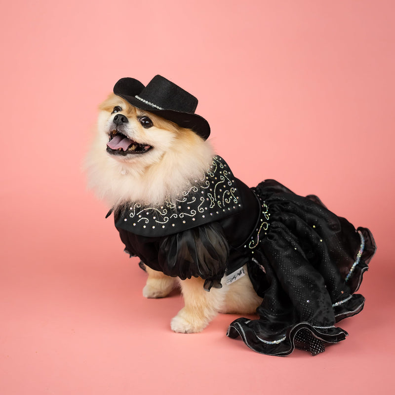 Doggy Parton Shimmering Evening Dress - XS X-Small Black - PawsPlanet Australia