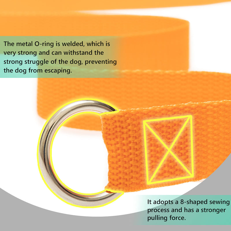 PETPMEEE Slip Lead Dog Leash, 6 FT Short Dog Leash with O-Ring for Walking Rescues Training Running Grooming Shelter, Strong Dog Leashes Control Small Meidum Large Dogs / Puppy 6 pack - PawsPlanet Australia